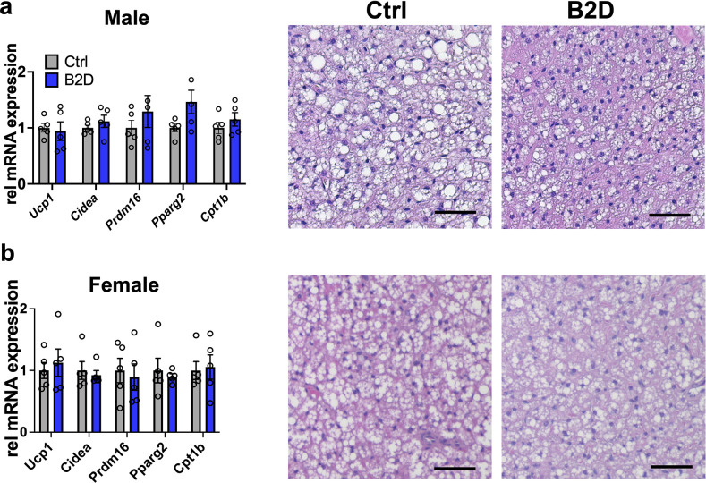 Figure 1—figure supplement 1.