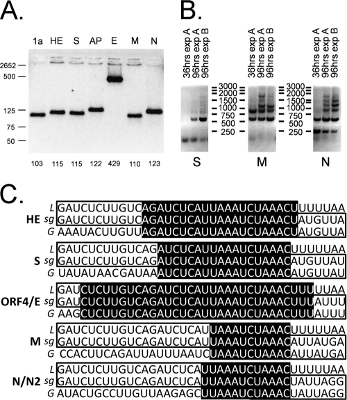 FIG. 4.