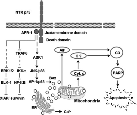 Fig 8