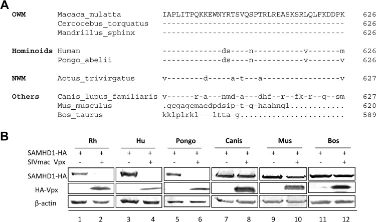 FIG 6