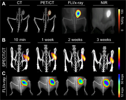 Fig. 6