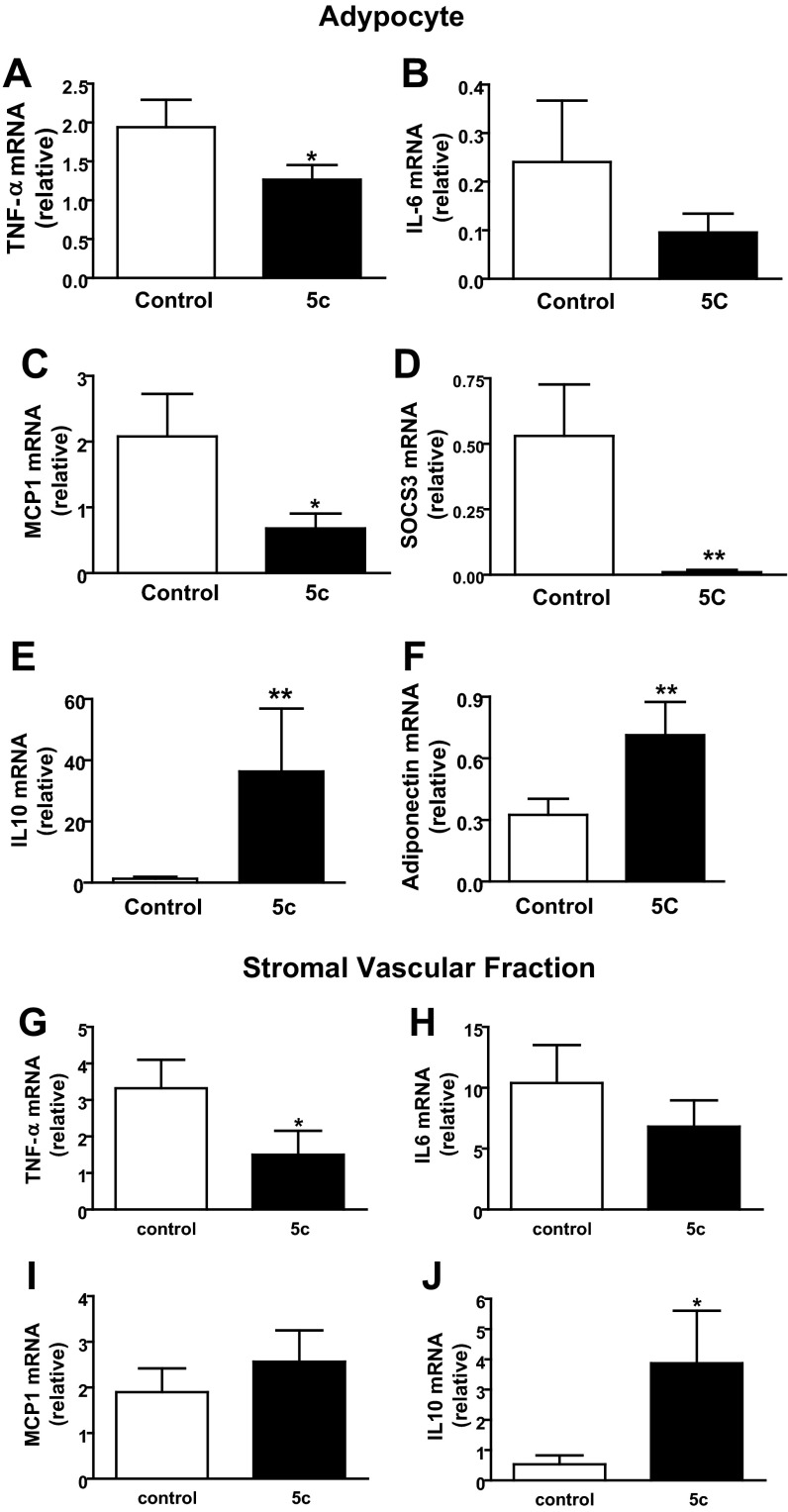 Fig. 10.