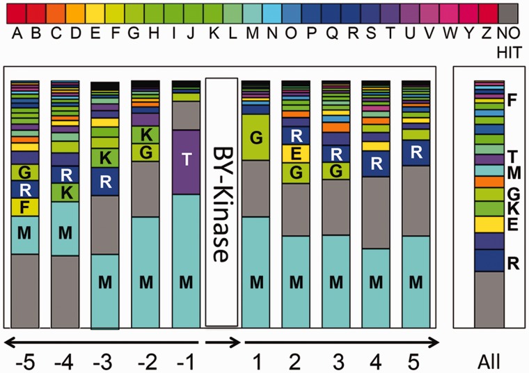 Fig. 6.—