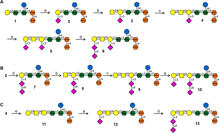 Scheme 2.