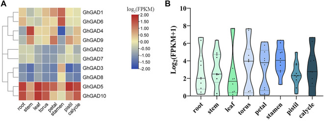 FIGURE 7