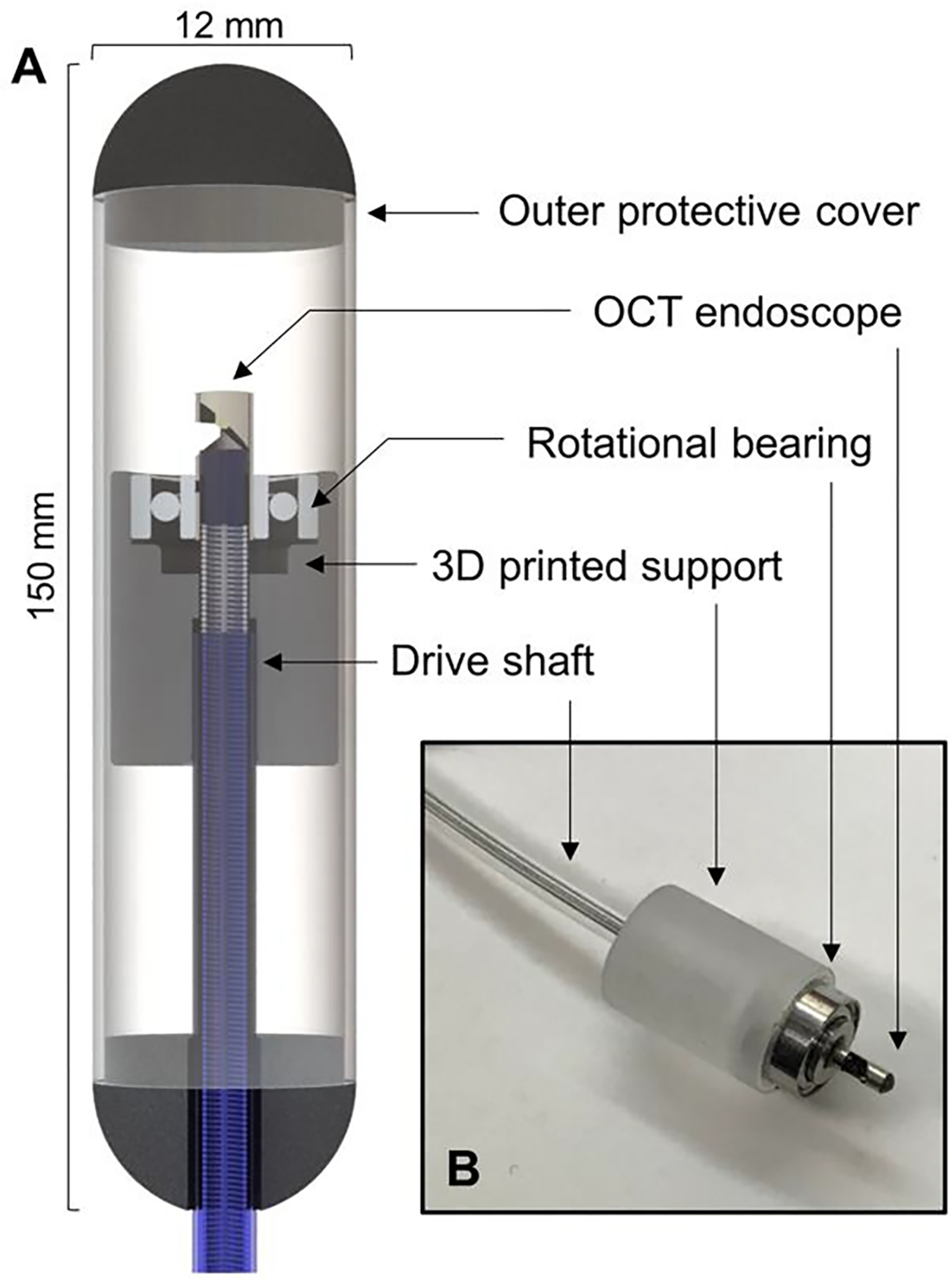 FIGURE 1.