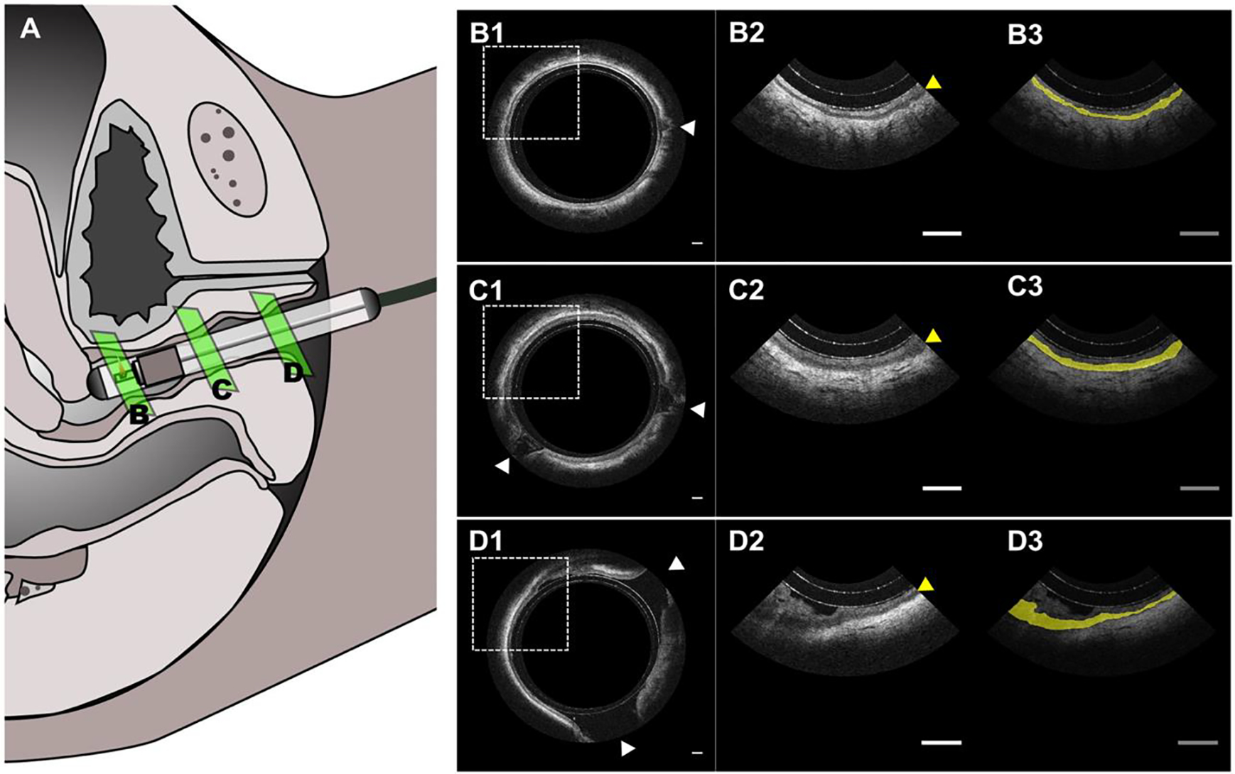 FIGURE 2.