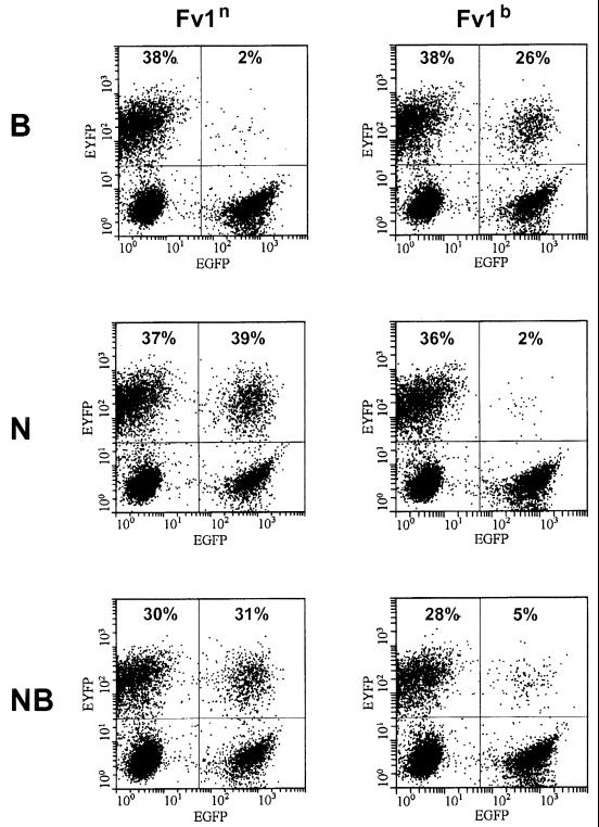 FIG. 3