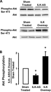 Fig. 8.