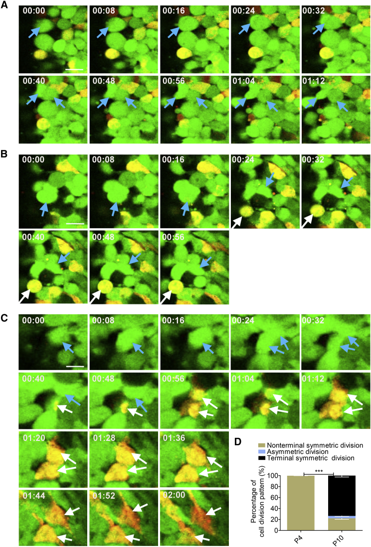 Figure 3