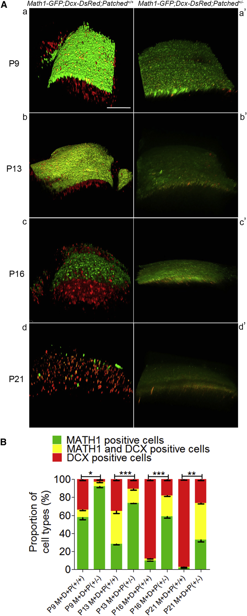 Figure 5