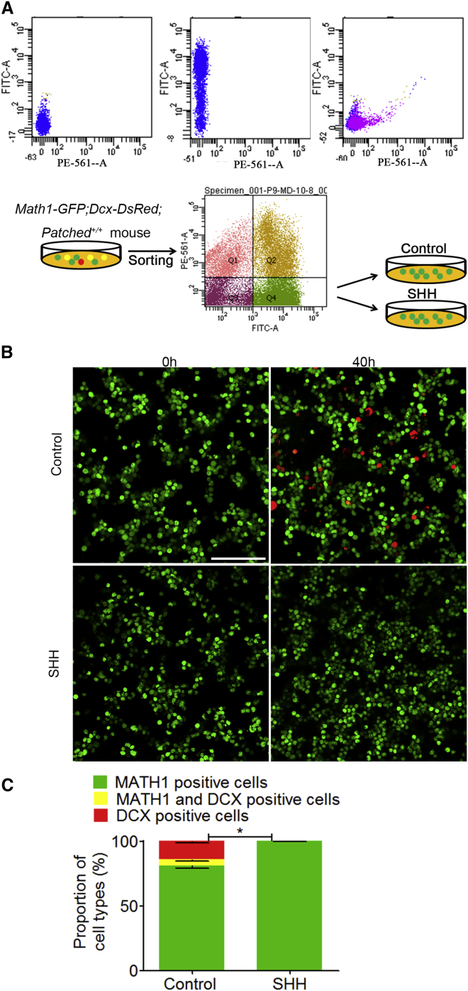 Figure 4