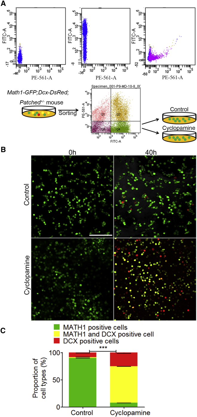 Figure 6