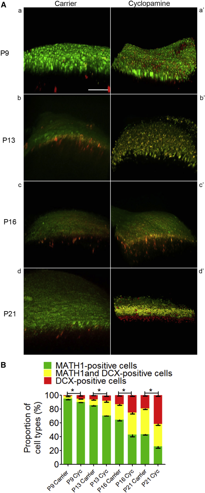 Figure 7