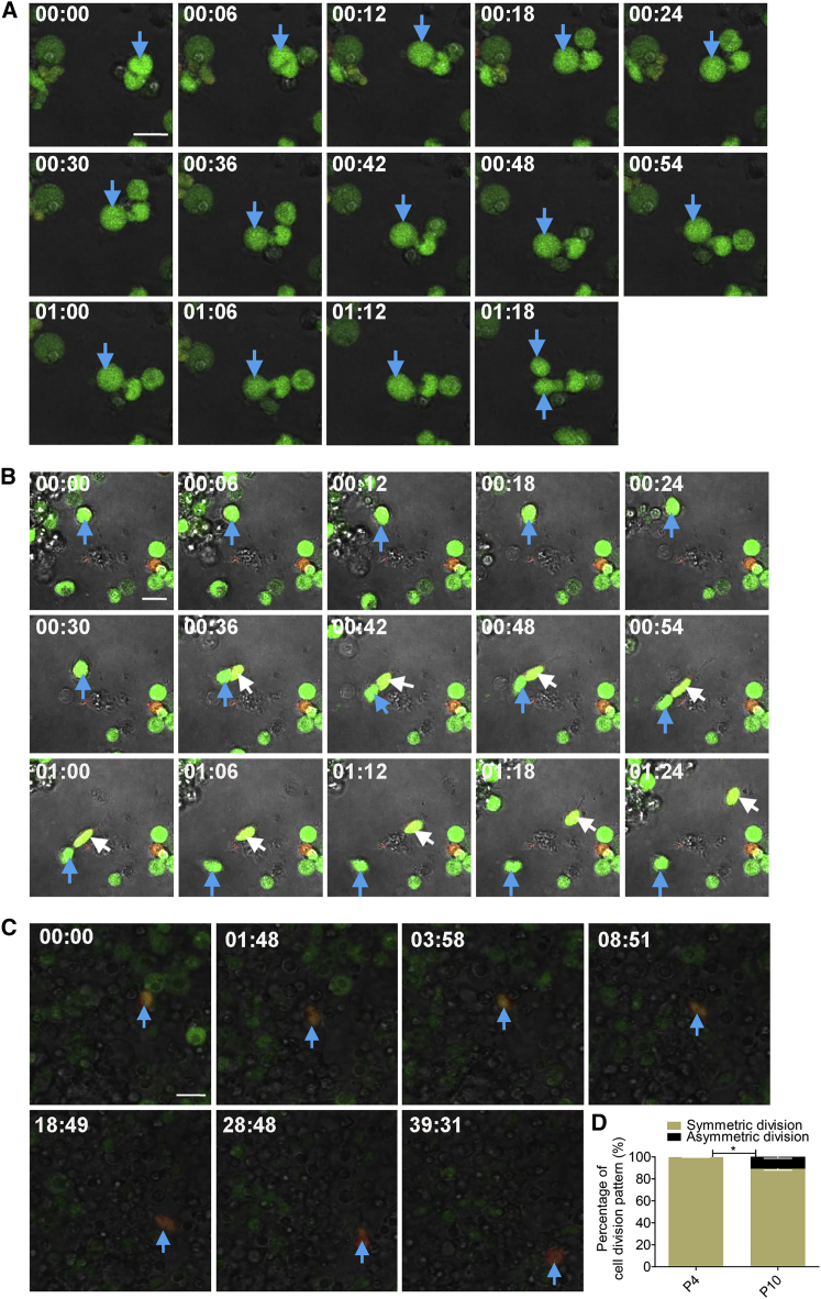 Figure 2