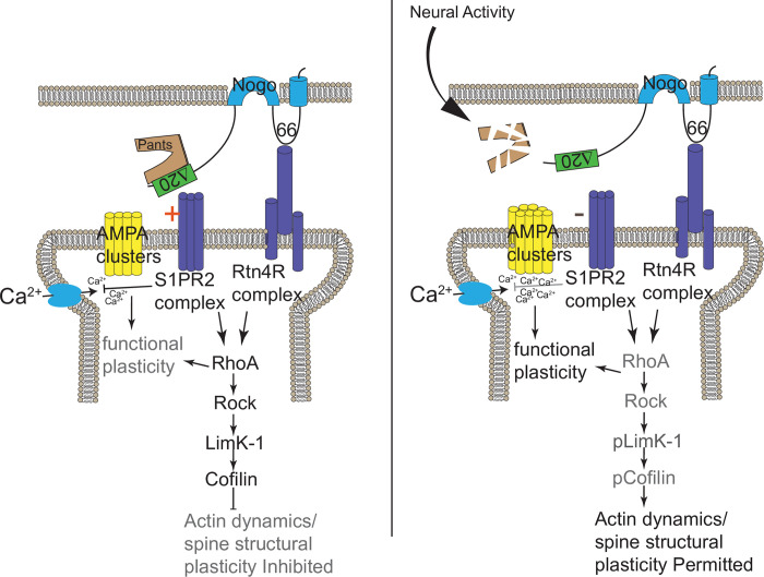 Fig 8