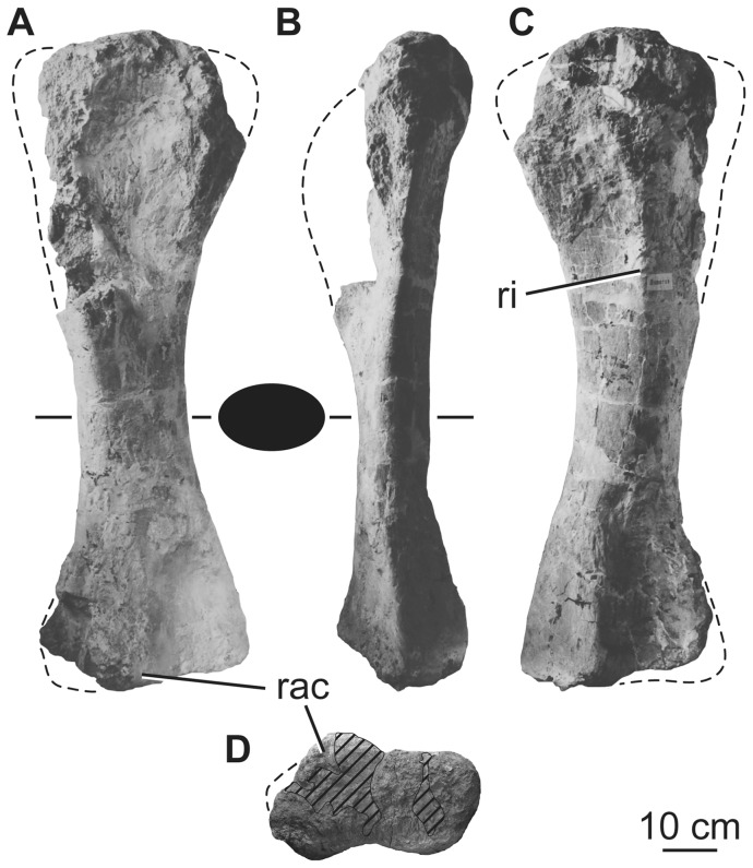 Figure 24