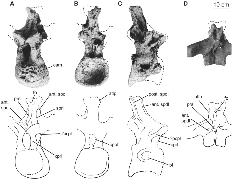 Figure 10