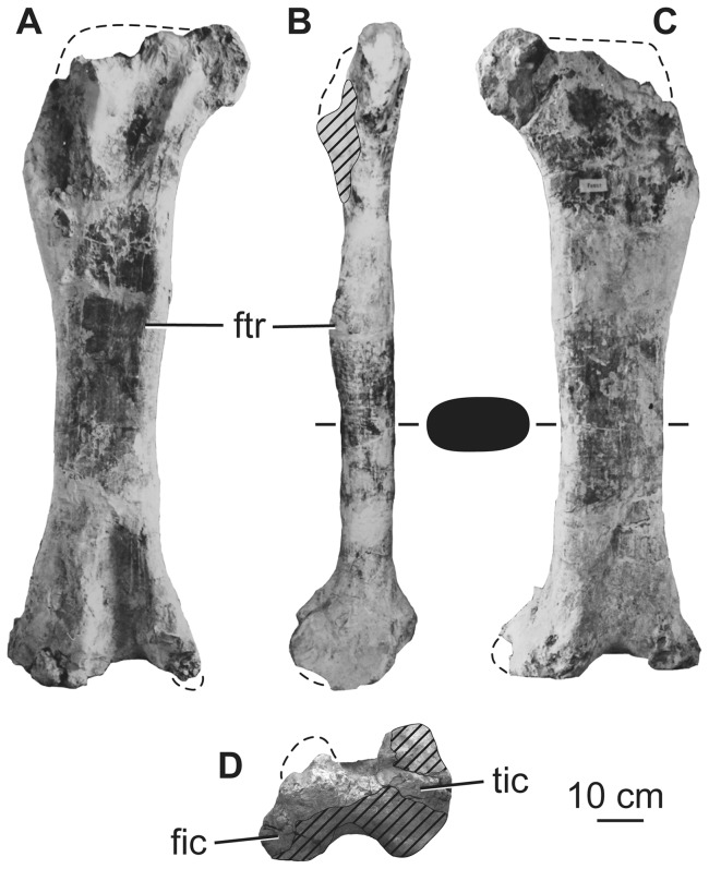 Figure 21