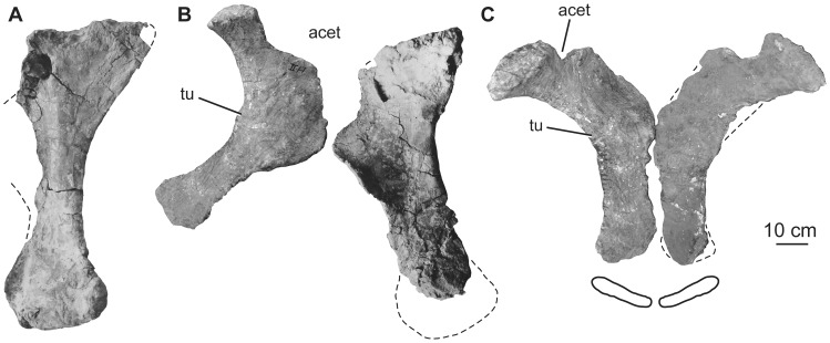 Figure 20