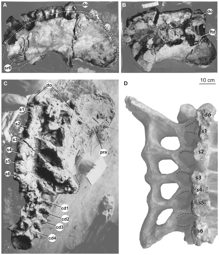 Figure 12