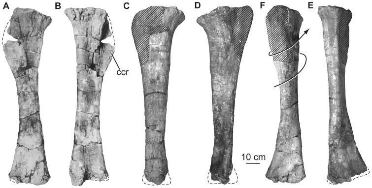 Figure 22