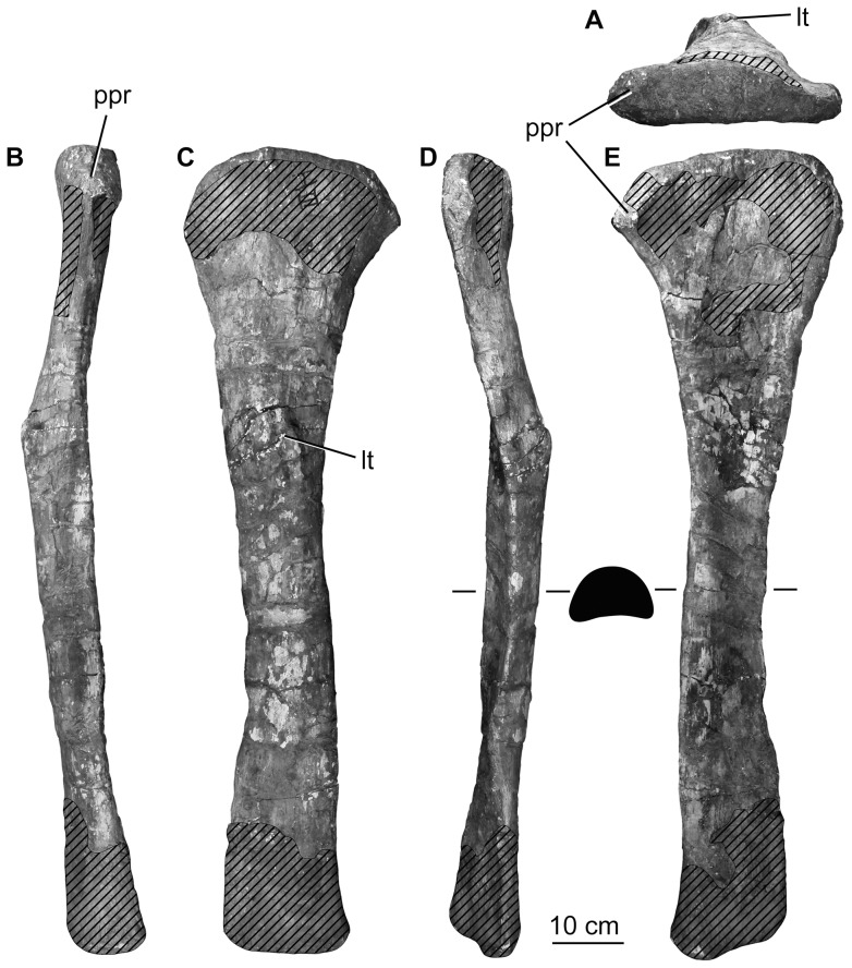 Figure 23