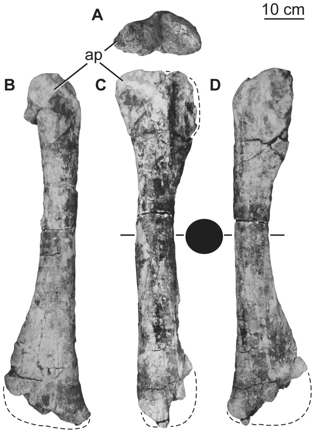 Figure 19