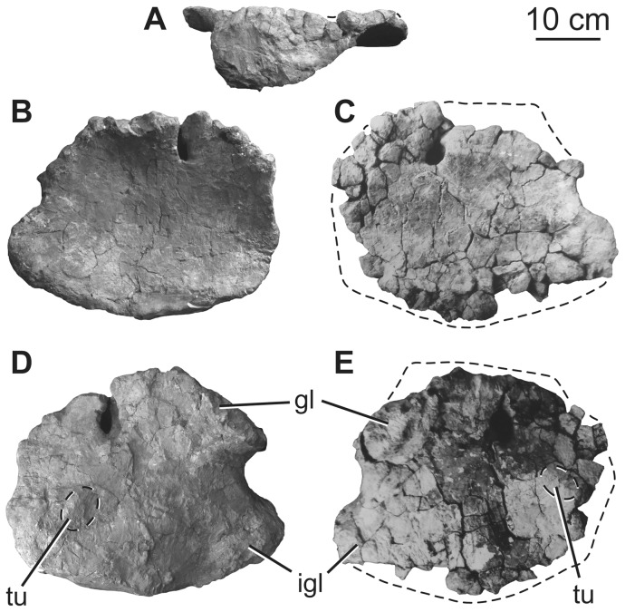 Figure 18