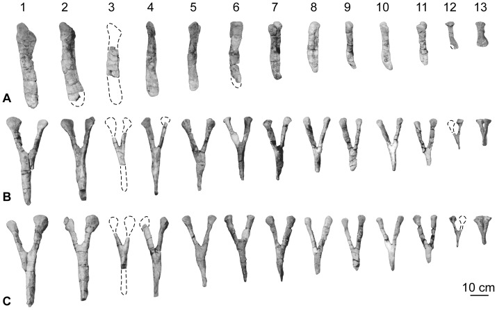 Figure 16