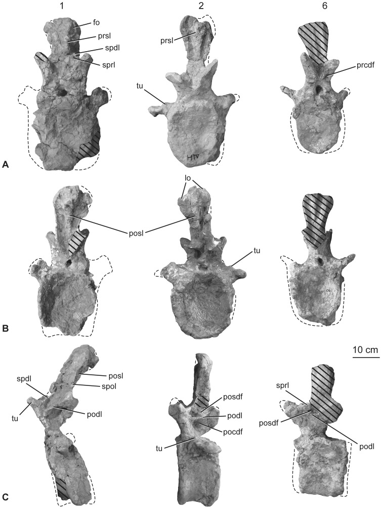 Figure 13