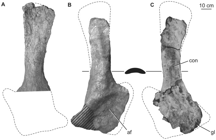 Figure 17