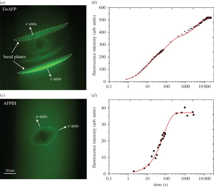 Figure 7.