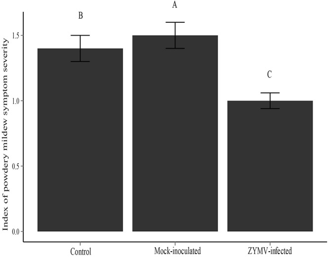 FIGURE 3