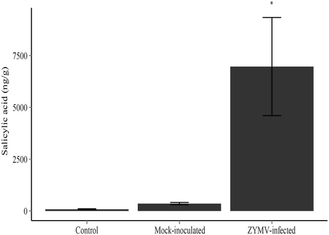 FIGURE 4