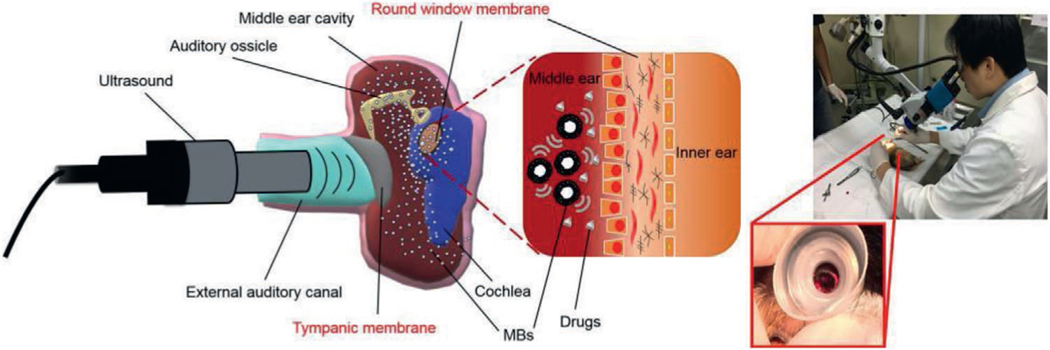 Figure 6.