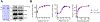 Figure 5: