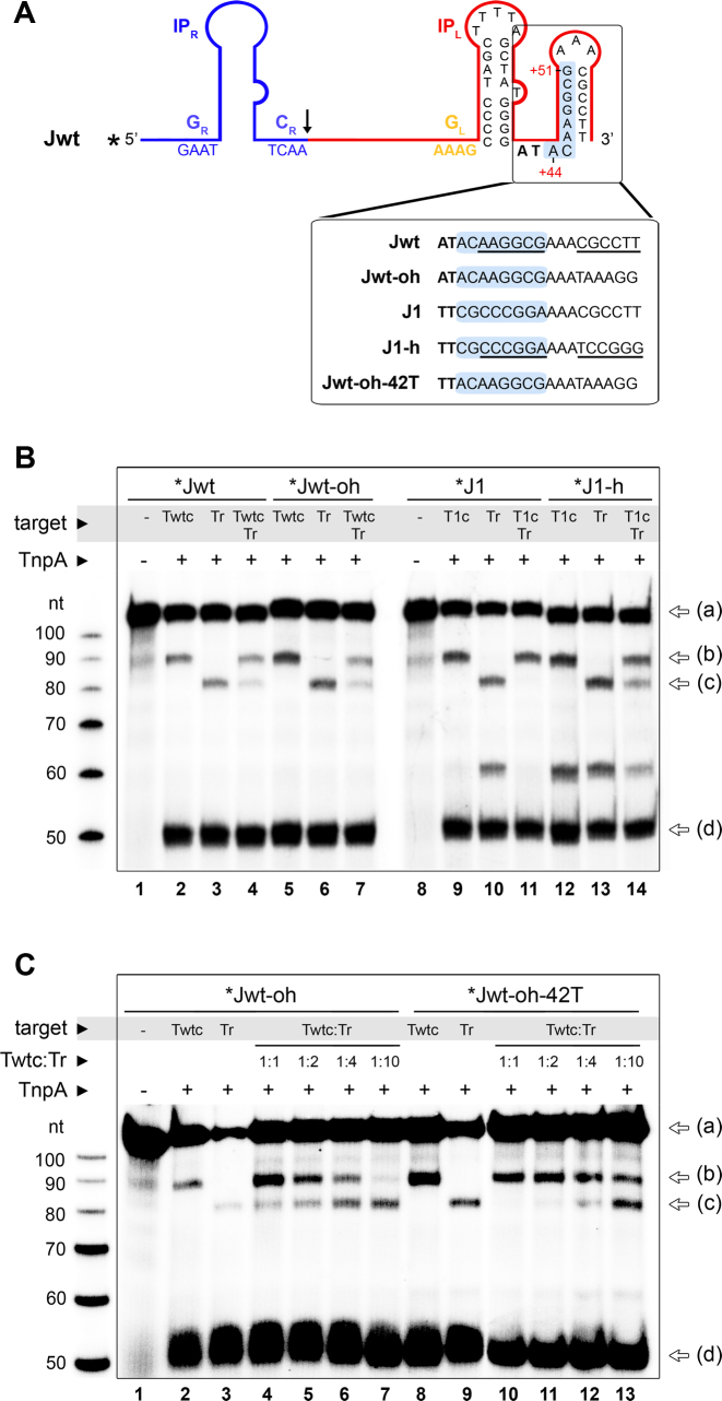 Figure 6.