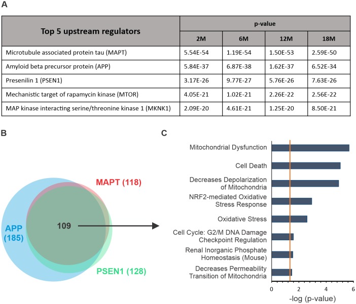 Figure 2—figure supplement 1.