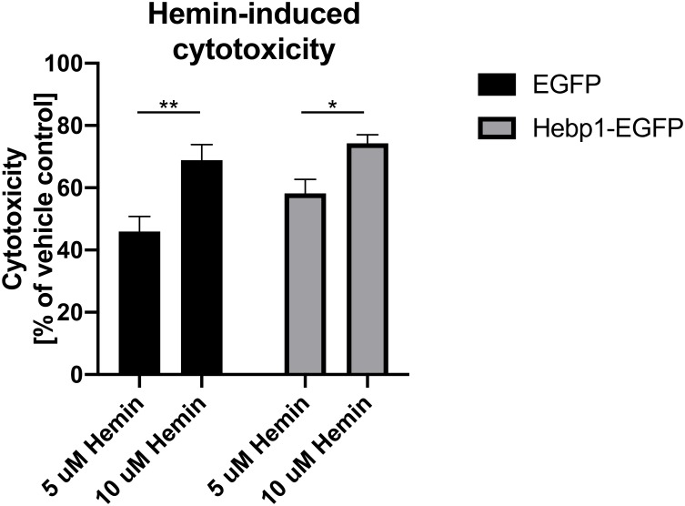 Figure 7—figure supplement 1.