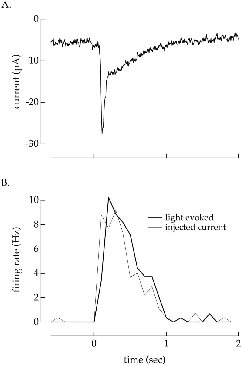 Fig. 10.