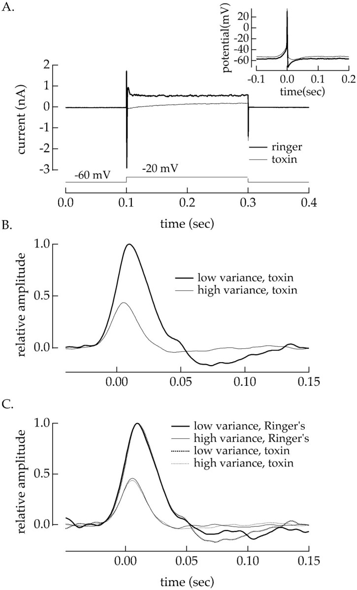 Fig. 12.