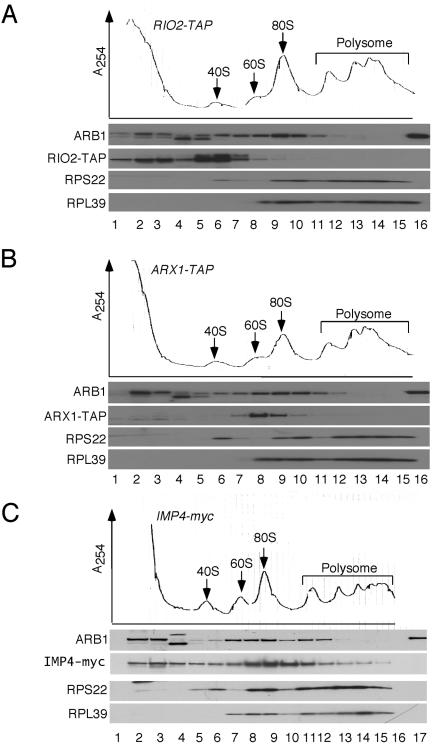 FIG. 5.