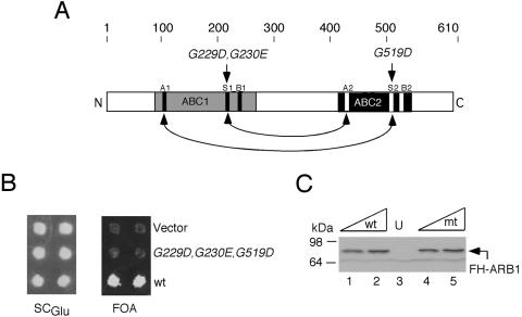 FIG. 7.