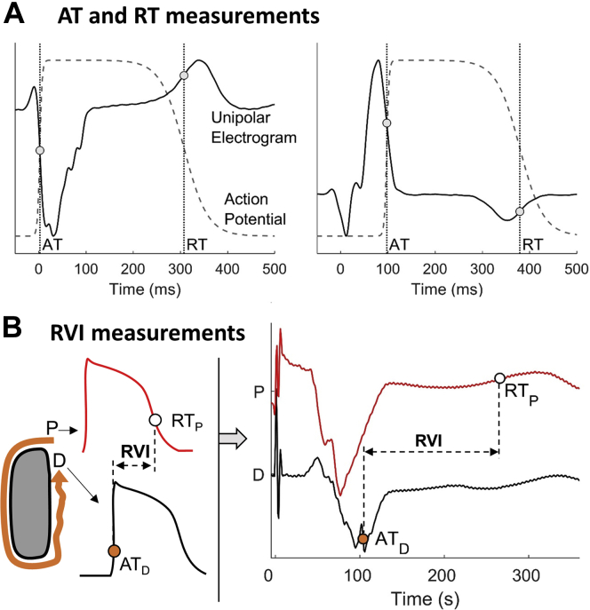 Figure 2