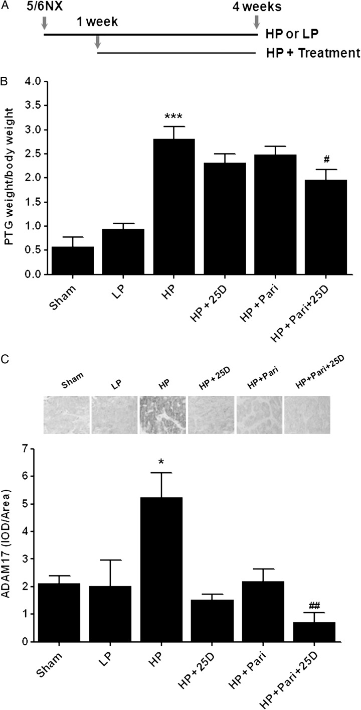 FIGURE 5: