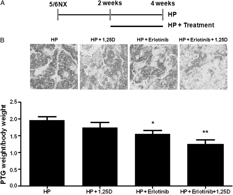 FIGURE 2: