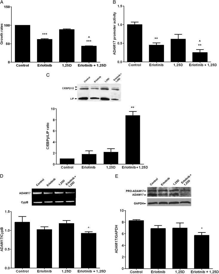 FIGURE 3: