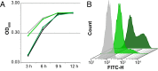 Fig. 3.