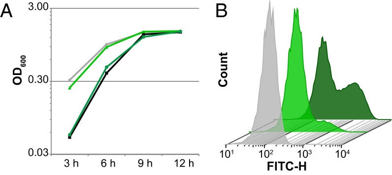 Fig. 3.